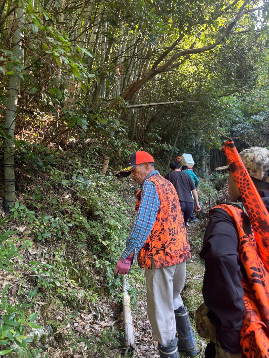 竹林の山道を案内する猟師